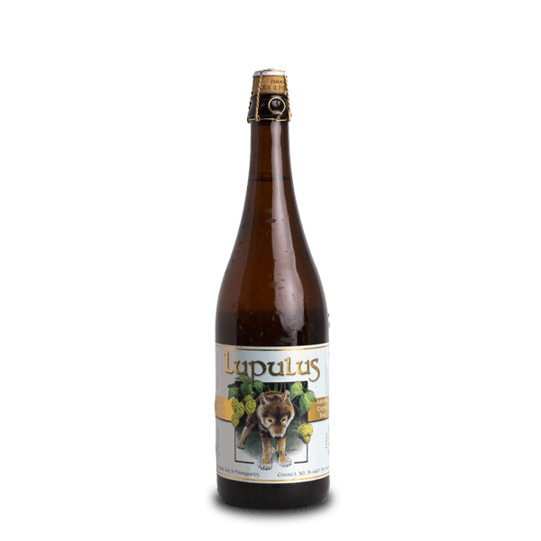 Brasserie Lupulus Lupulus Blonde